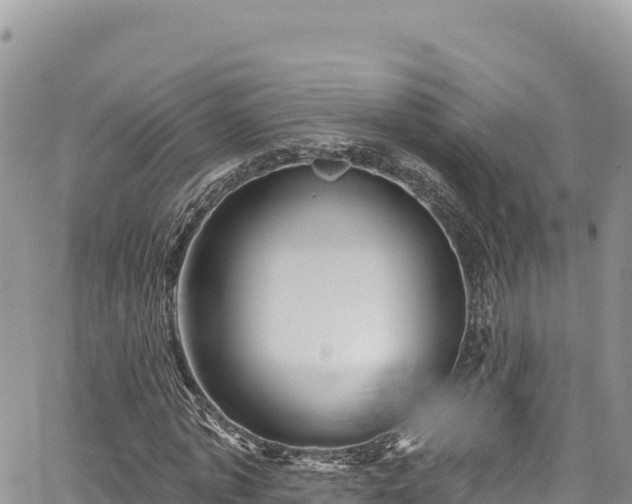 X0000065260773200602211249