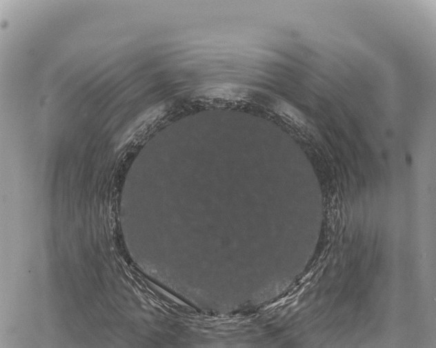 X0000065260774200602211249