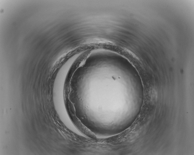 X0000065260775200602211249