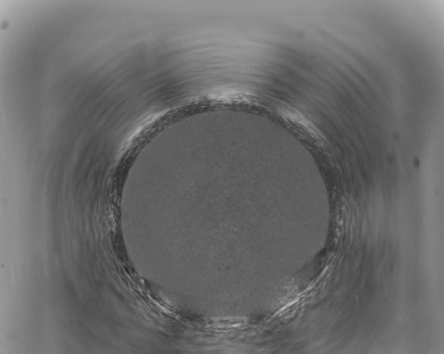 X0000065260776200602211249