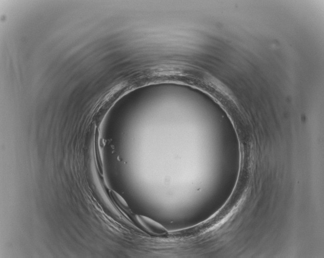 X0000065260777200602211249