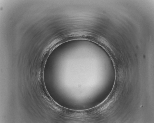 X0000065260778200602211249