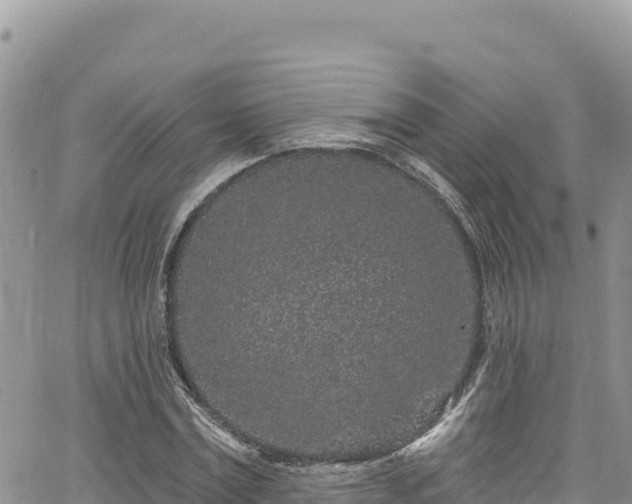 X0000065260779200602211249