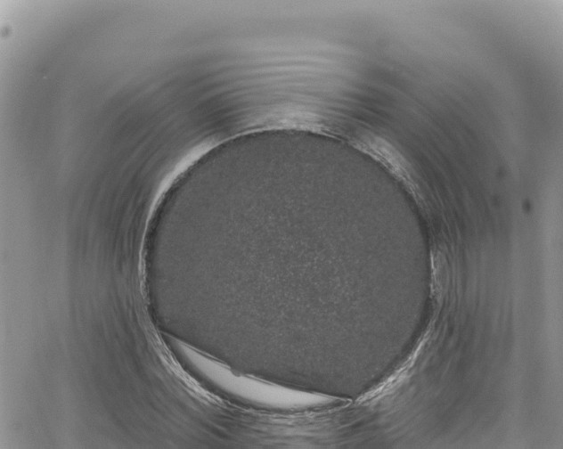 X0000065260780200602211249