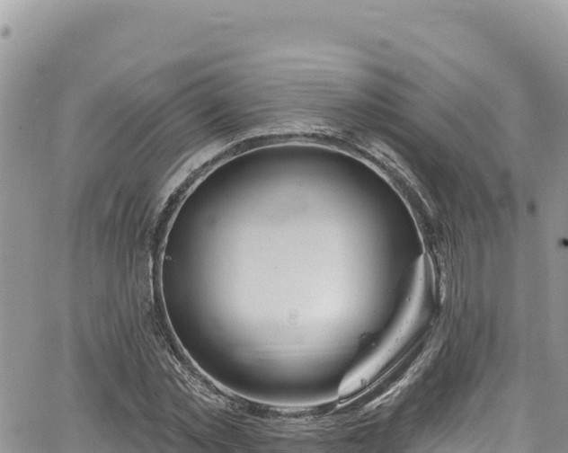 X0000065260781200602211249