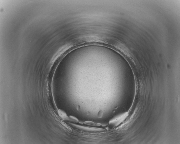 X0000065260782200602211249