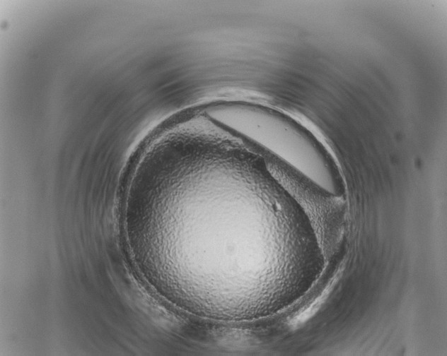 X0000065260783200602211249