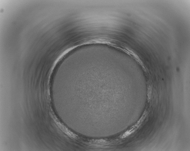 X0000065260784200602211249