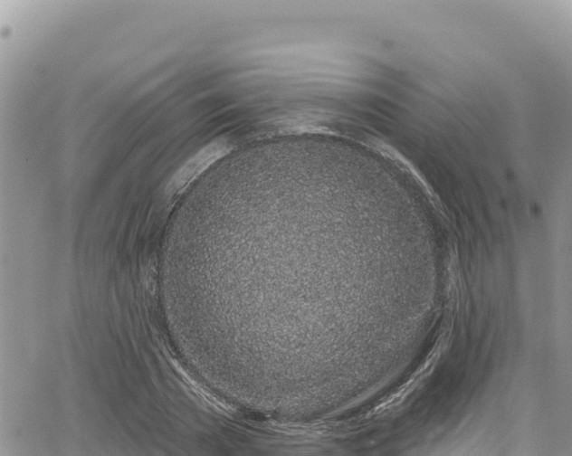 X0000065260785200602211249