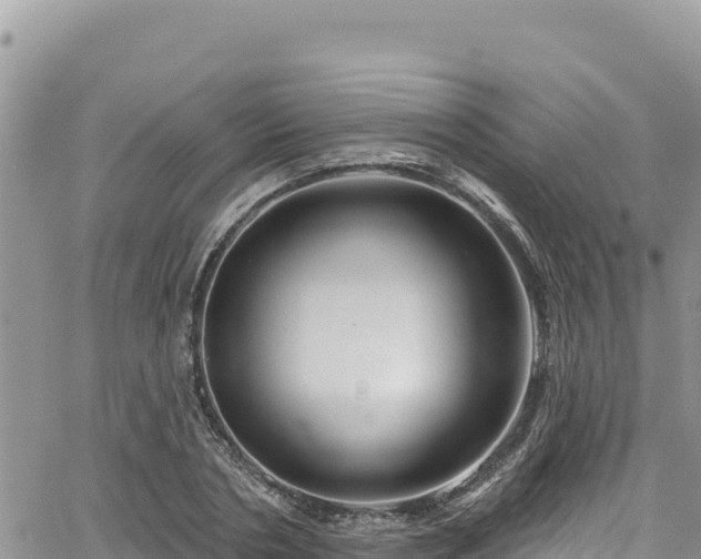 X0000065260786200602211249