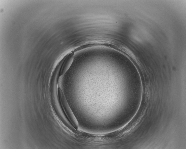 X0000065260787200602211249