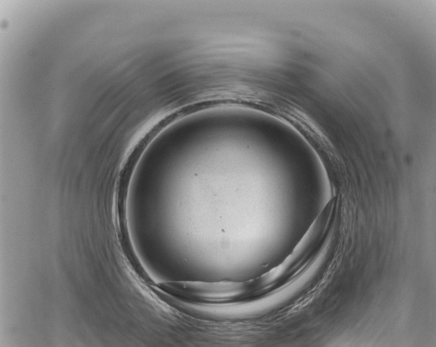 X0000065260788200602211249