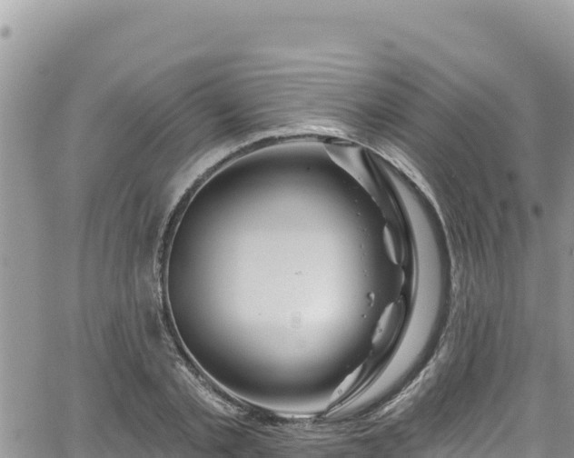 X0000065260789200602211249