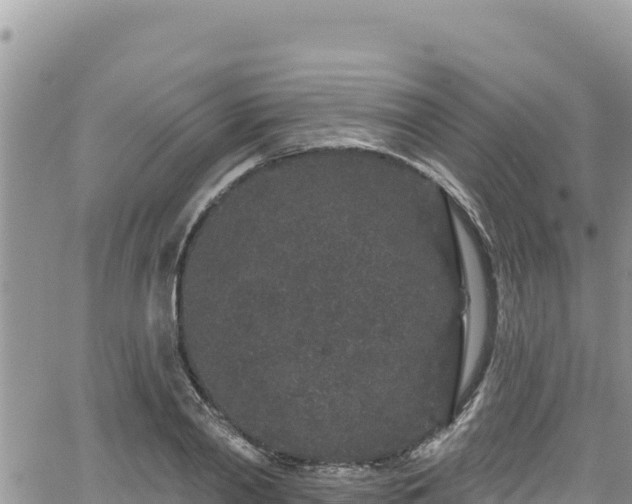 X0000065260790200602211249