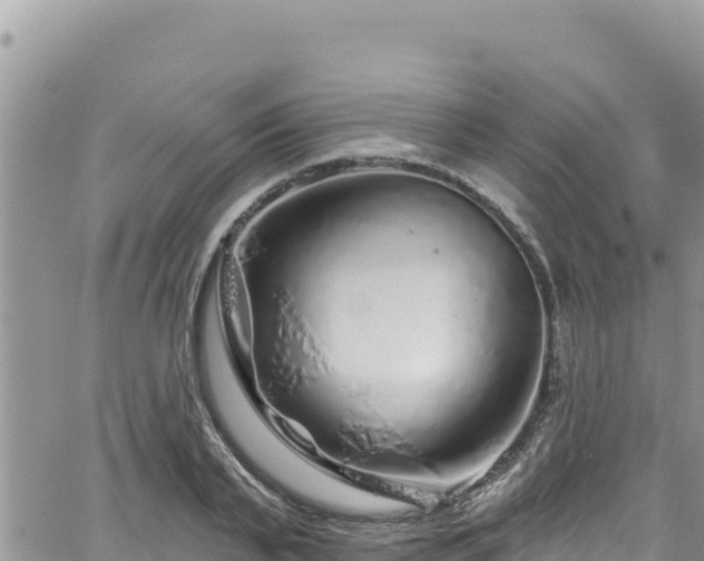 X0000065260791200602211249