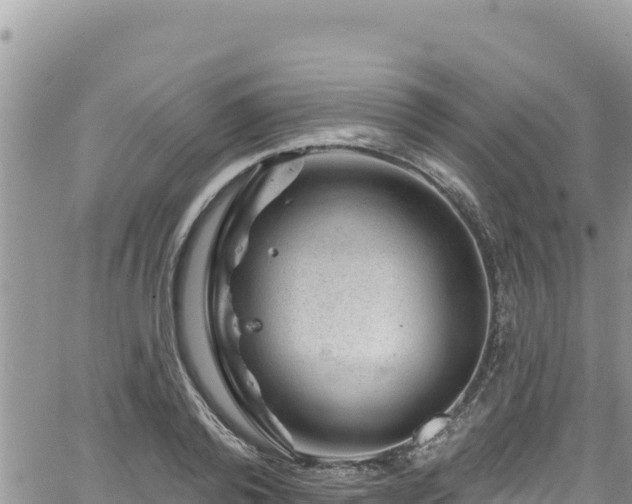 X0000065260792200602211249