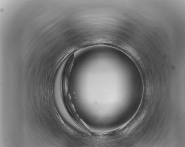 X0000065260793200602211248