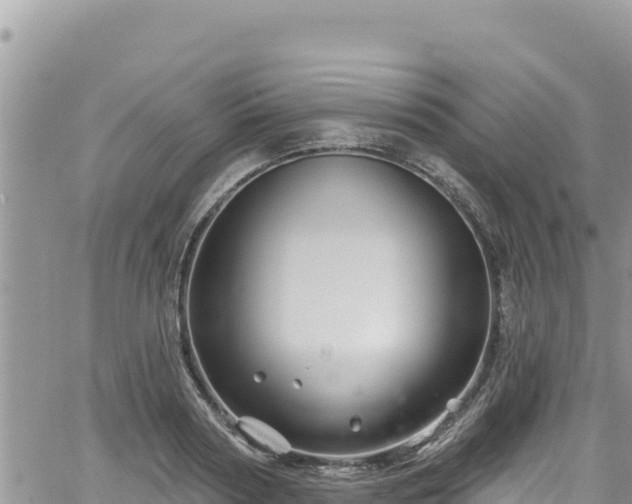 X0000065260794200602211248