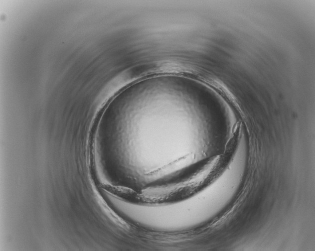 X0000065260795200602211248