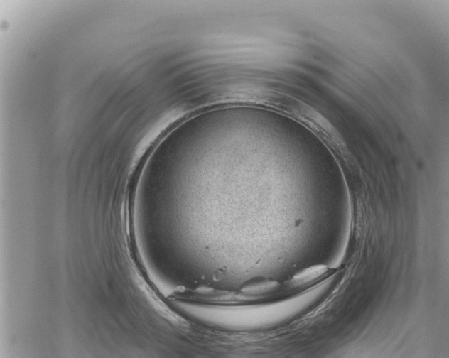 X0000065260796200602211248