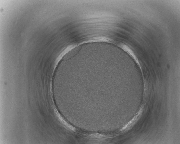 X0000065260797200602211248