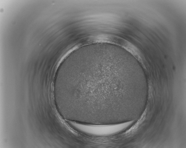 X0000065260798200602211248