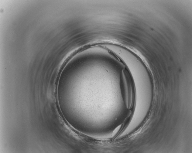 X0000065260799200602211248