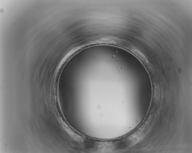 X0000065260800200602211248