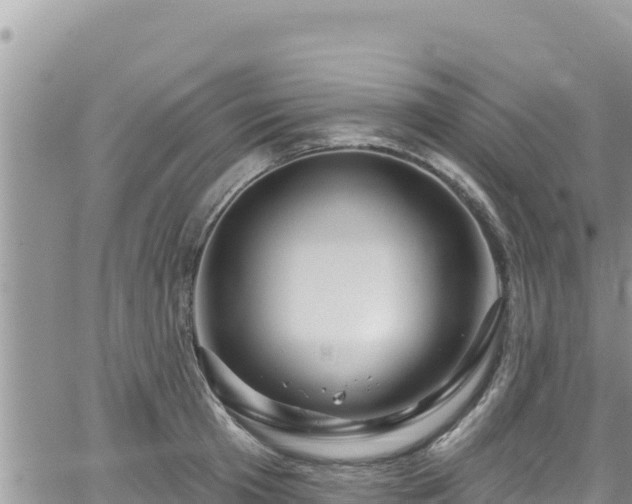 X0000065260801200602211248