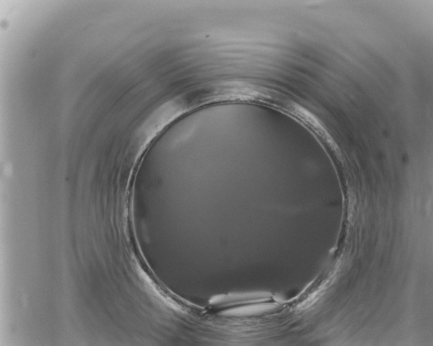 X0000065260802200602211248