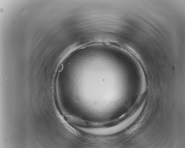 X0000065260803200602211248