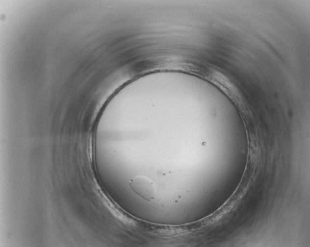 X0000065260804200602211248