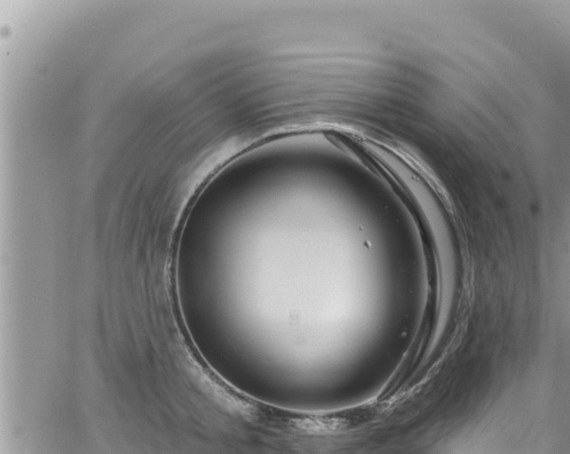 X0000065260805200602211248