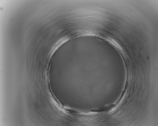 X0000065260806200602211248