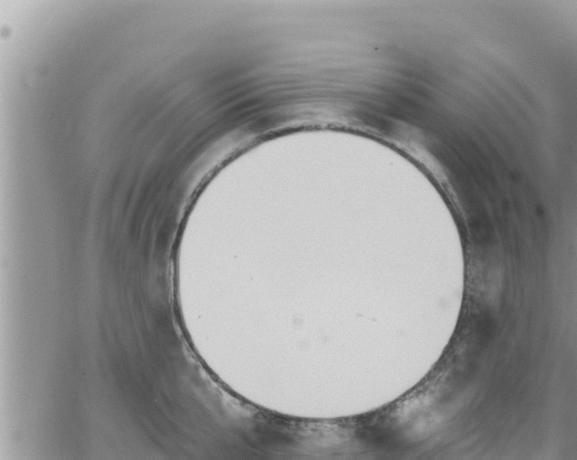 X0000065260807200602211248