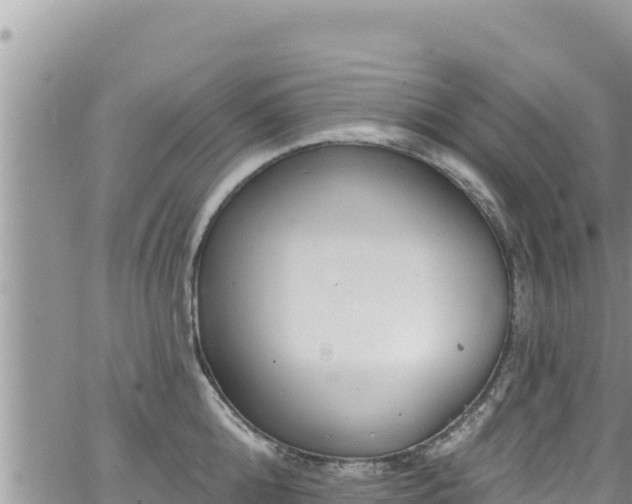 X0000065260808200602211248