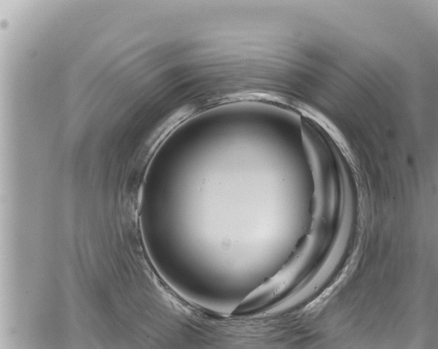 X0000065260809200602211248