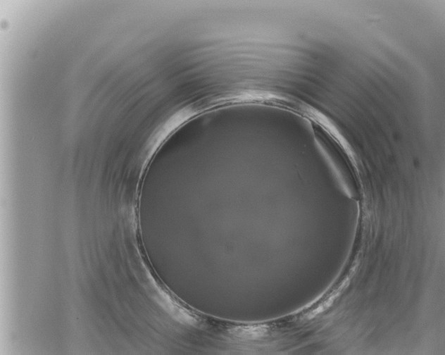 X0000065260810200602211248