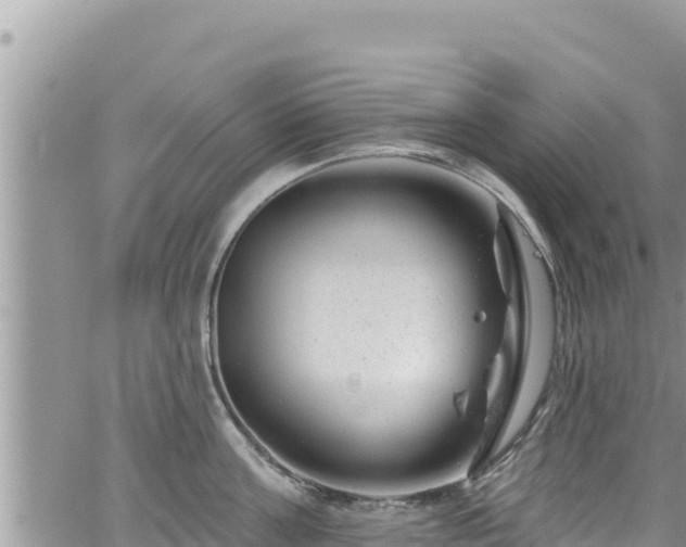 X0000065260811200602211248