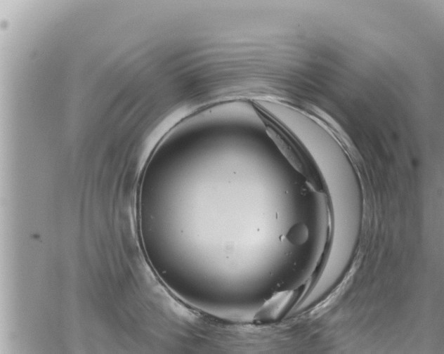 X0000065260812200602211248