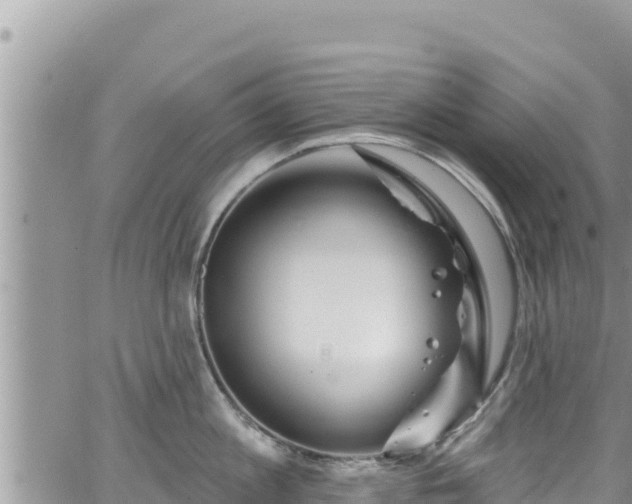 X0000065260813200602211248