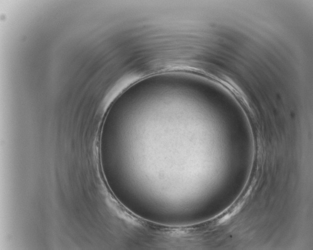 X0000065260814200602211248