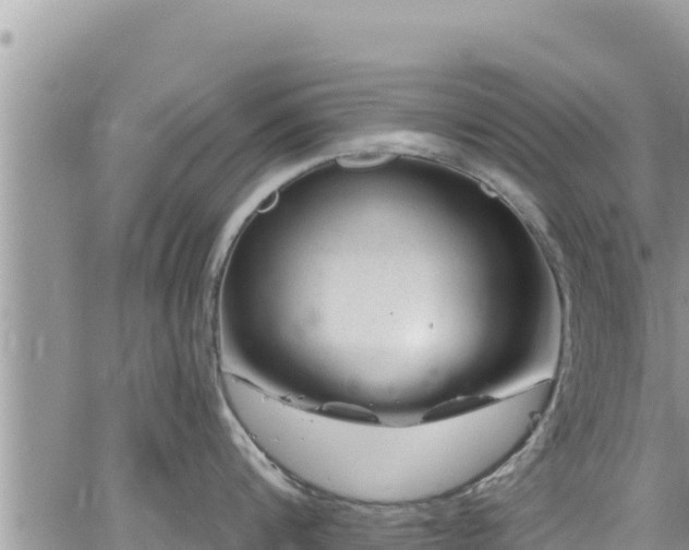 X0000065260816200602211248