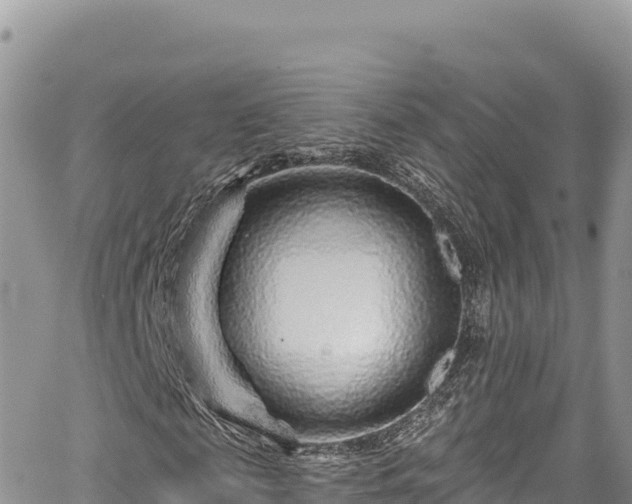 X0000065260817200602211247