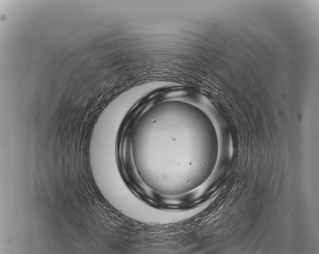 X0000065260818200602211247