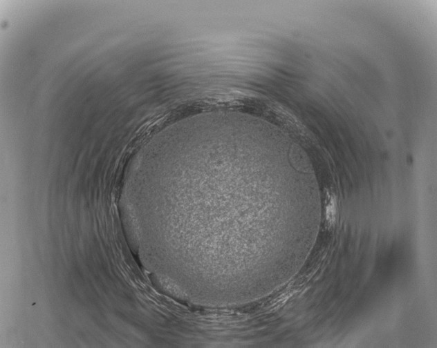 X0000065260819200602211247