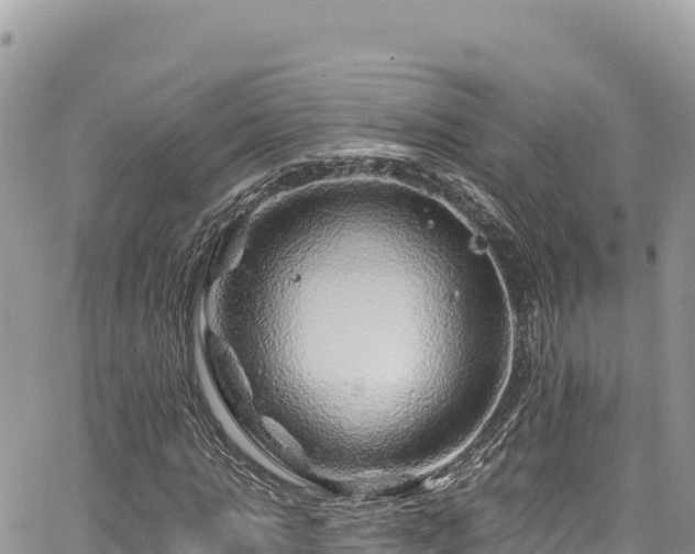 X0000065260821200602211247