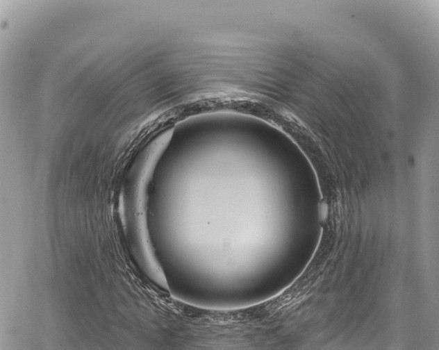 X0000065260822200602211247