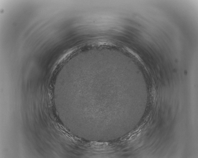 X0000065260823200602211247