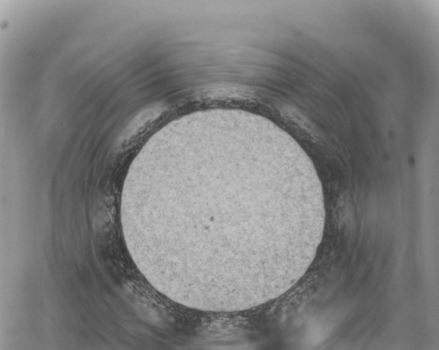 X0000065260824200602211247